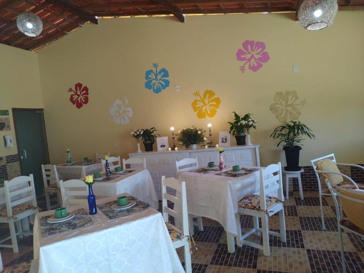 Hibisco